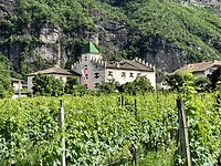 IMG_5951