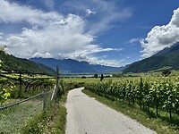 IMG_5948