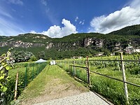 IMG_5954