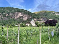 IMG_5975