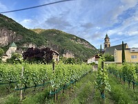 IMG_5976
