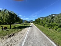 IMG_5993