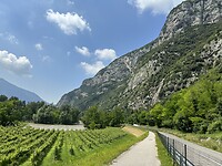 IMG_6011