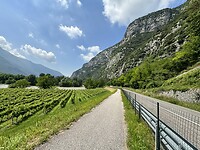 IMG_6012