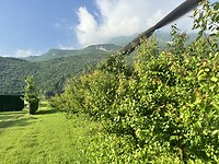 IMG_6006