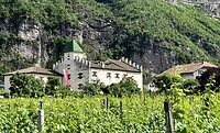 IMG_5952