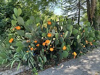 IMG_6190