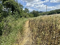 IMG_6199