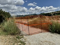 IMG_6203