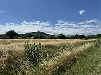 IMG_6194