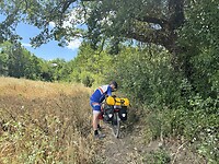IMG_6198