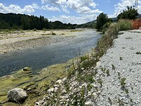 IMG_6200