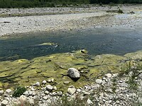 IMG_6202