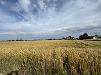 IMG_6336