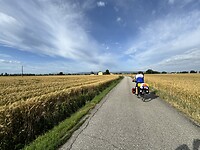 IMG_6337