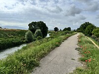 IMG_6338