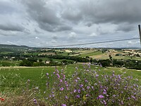 IMG_6349