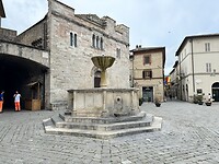 IMG_6342