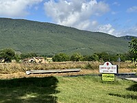 IMG_6352