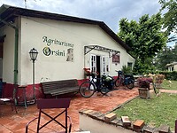 IMG_6351