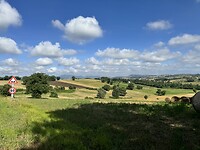 IMG_6355