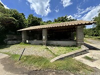 IMG_6364