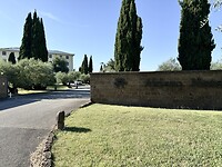 IMG_6375
