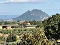 IMG_6378