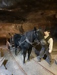 In de zoutmijn van Wieliczka werd ook met paarden gewerkt die nooit boven de grond kwamen