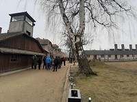 Auschwitz