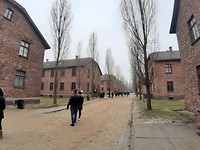 Auschwitz