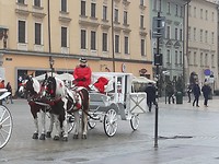 Koetsjes rond het Rynek Glówny plein