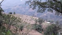 Terrassen tussen Lao Cai en Sa Pa