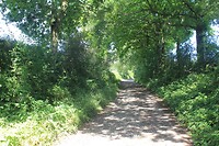 Wandelen bij Vermand