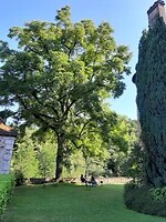 De tuin bij het kasteel van Gargilesse