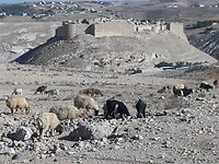 Het kasteel van Shobak