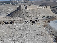 Het kasteel van Shobak