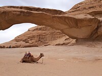 "Brug" in Wadi Rum