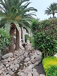 De tuin bij het zwembad