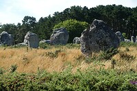 Menhirs bij Carnac