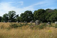 Menhirs bij Carnac