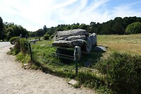 Menhirs bij Carnac