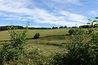 Tijdens een wandeling ten noorden van Pontgibaud