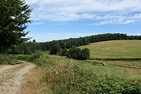 Tijdens een wandeling ten noorden van Pontgibaud
