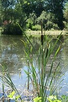 Tijdens een wandeling ten noorden van Pontgibaud