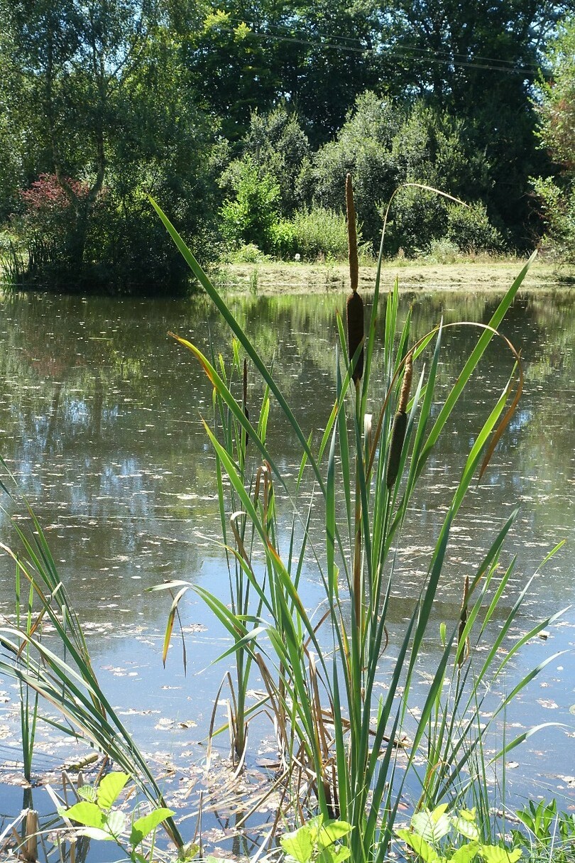 Tijdens een wandeling ten noorden van Pontgibaud