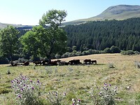 Landschap bij de kapel van Vassivière