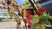 Detail van de bloemenboog in Struga