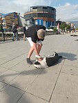De zwerfhonden in Struga laten zich graag aanhalen
