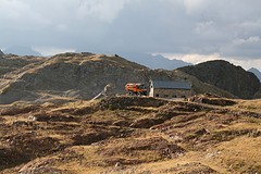 IMG_4111